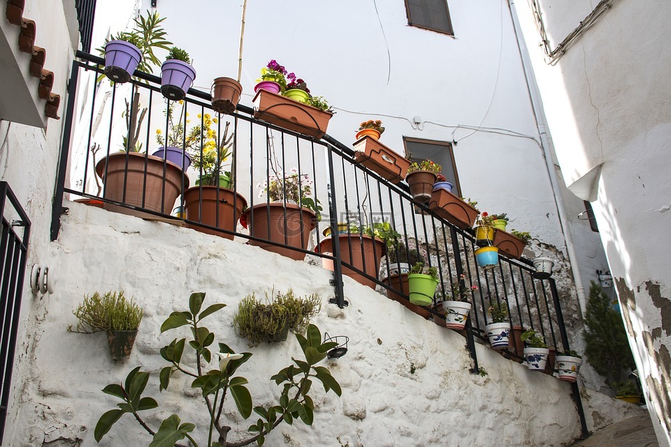 chulilla,阳台,植物