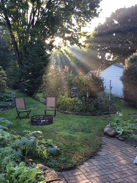 早晨光,花园,阳光