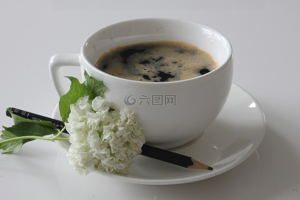 咖啡,花,静物