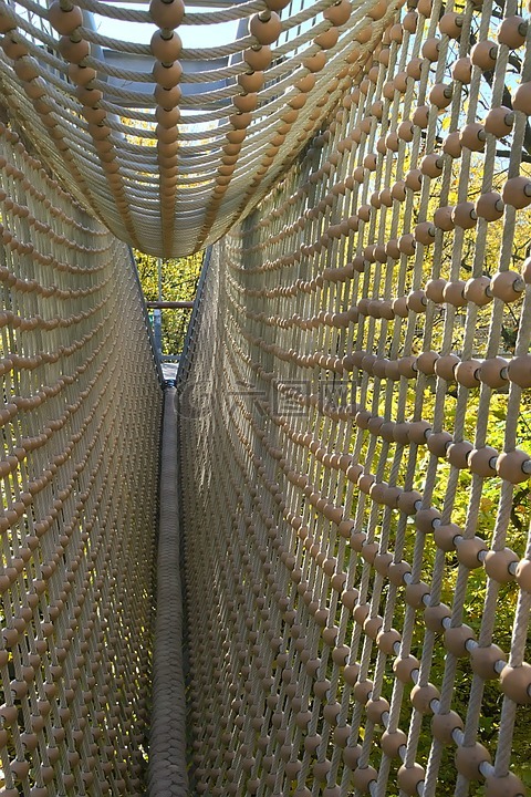 吊桥,树树冠路径,多彩的树叶