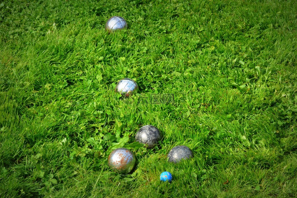 地掷球,草,球