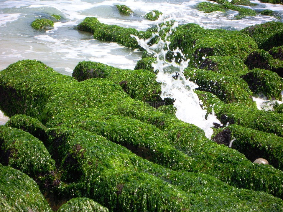 綠石槽,潮溝,海蝕溝