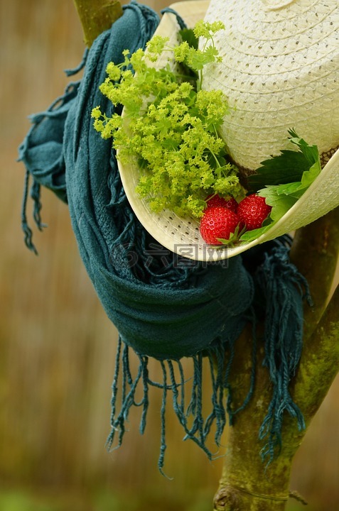 帽子,夏季,草帽