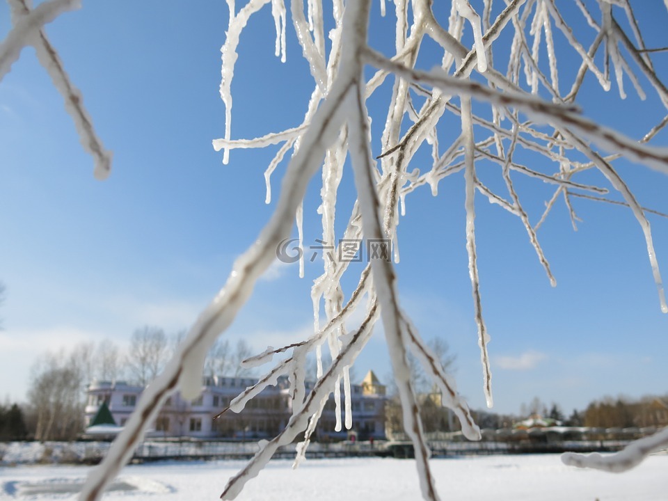 冰雪,树挂,蓝天