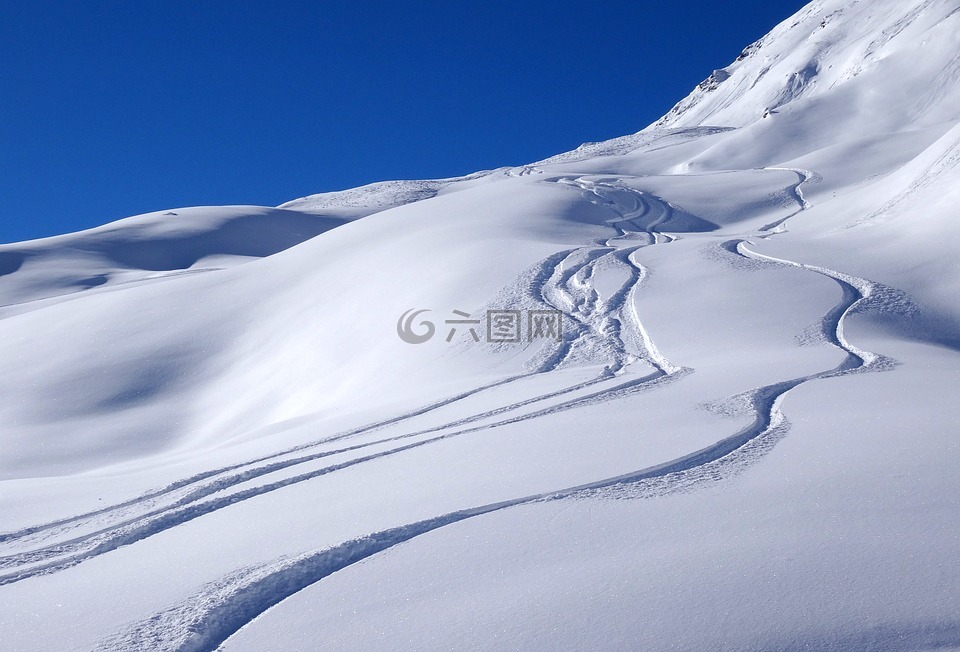 雪,景观,滑雪板