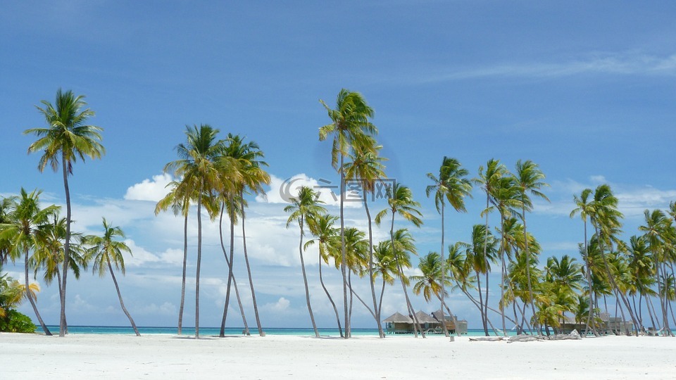 马尔代夫,天堂岛,海滩