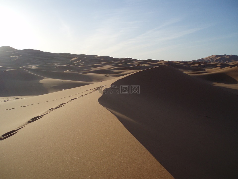 撒哈拉沙漠,沙漠,沙
