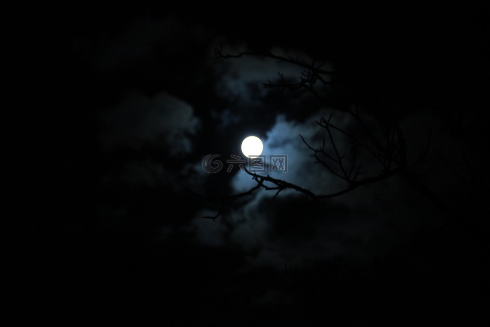 在晚上,月亮,望月