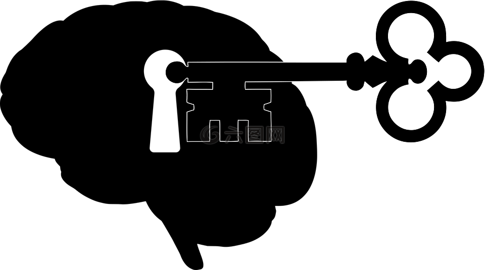 脑,关键,心理学