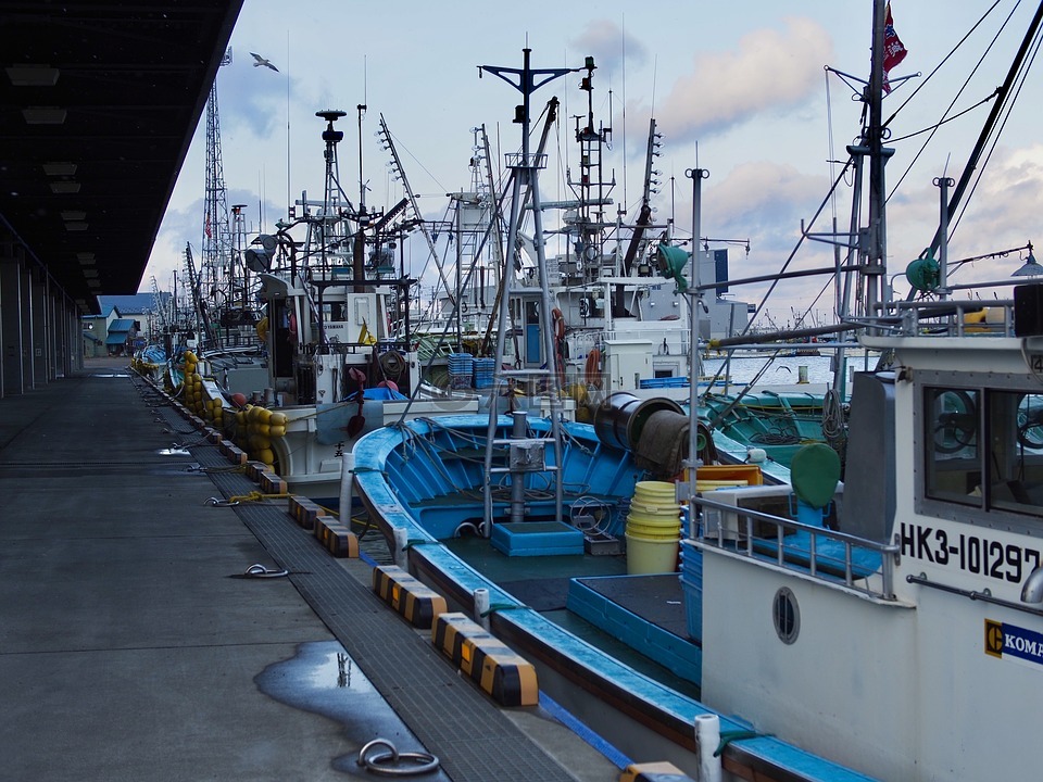 钓鱼船,渔港,北海道