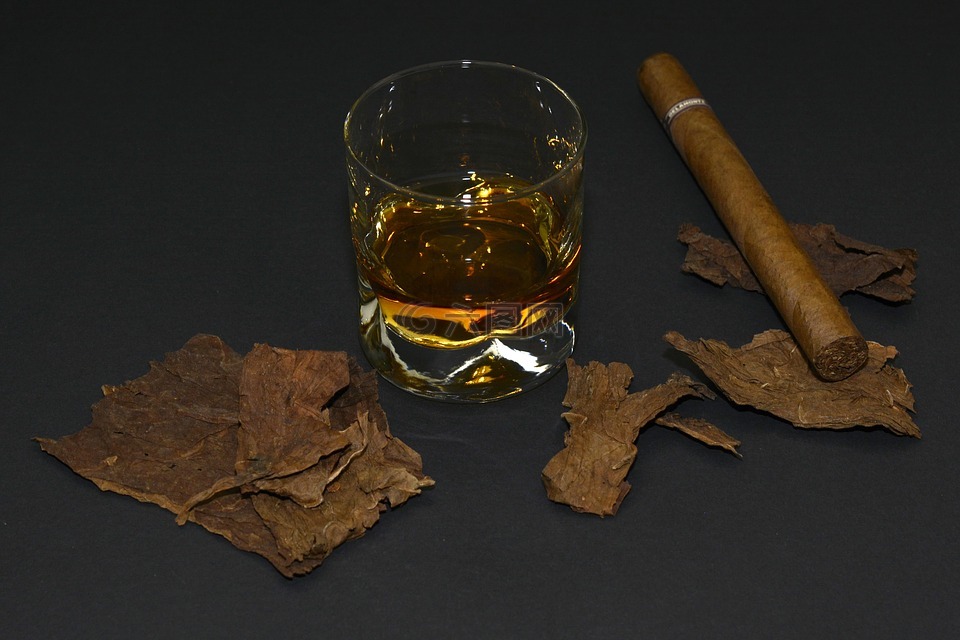 雪茄 烟草叶片 威士忌酒杯高清图库素材免费下载 图片编号 六图网
