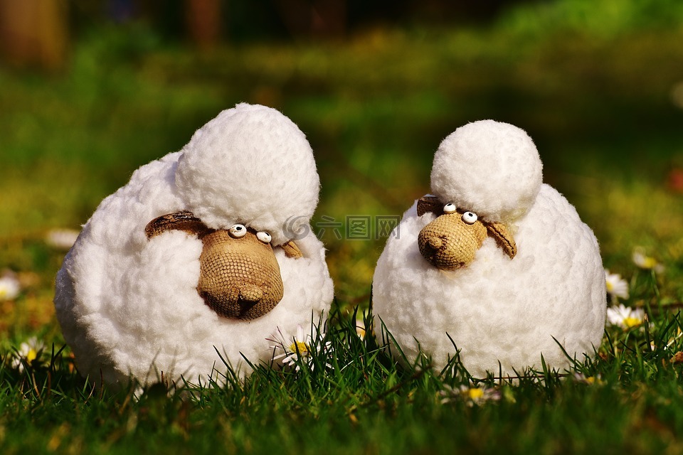 羊,可爱,草地