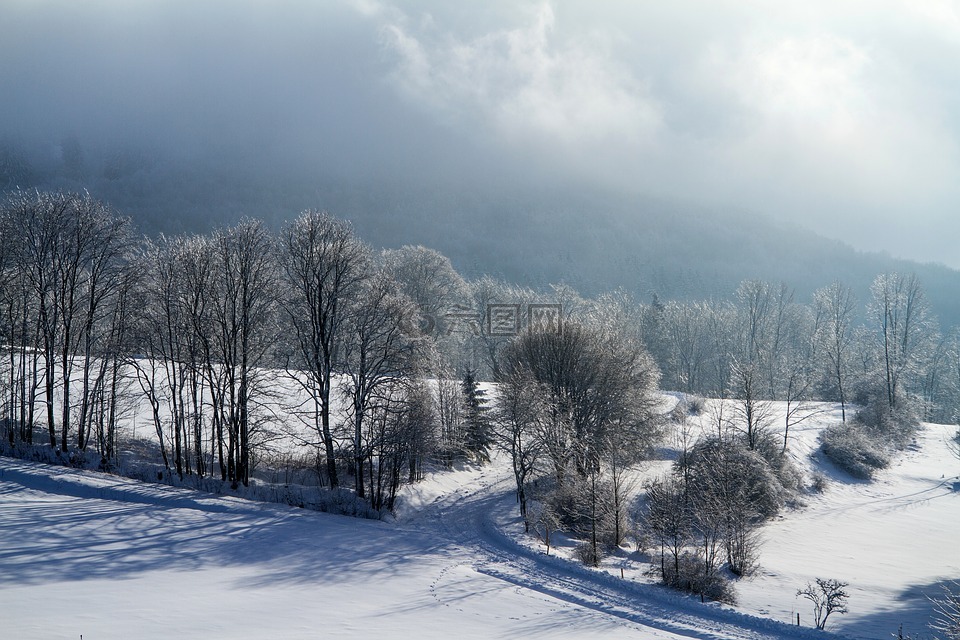 冬天,雪,寒冬