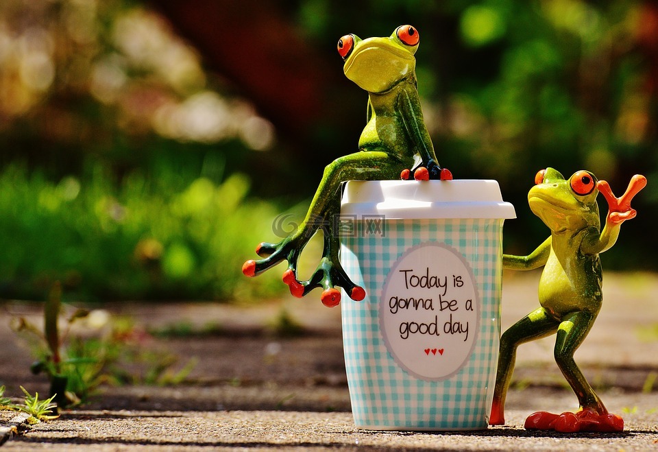 美丽的一天,喜悦,青蛙