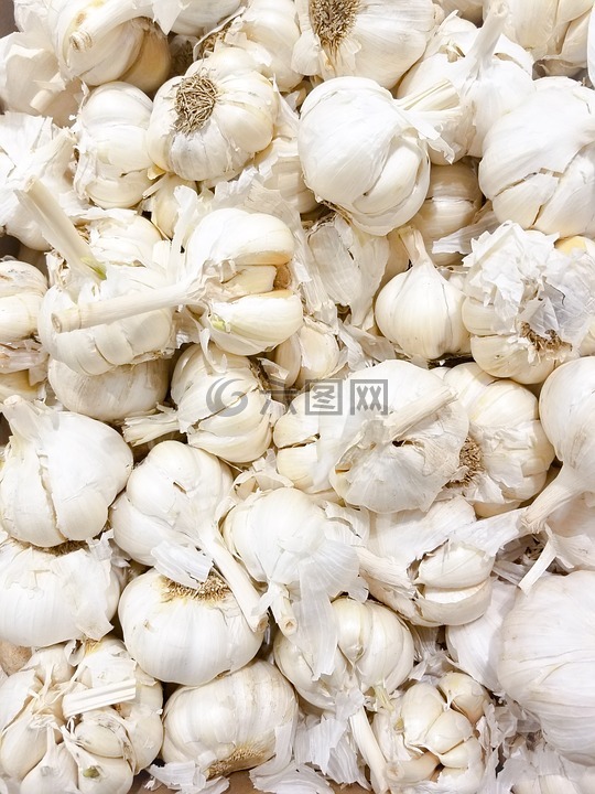 大蒜,成分,食品