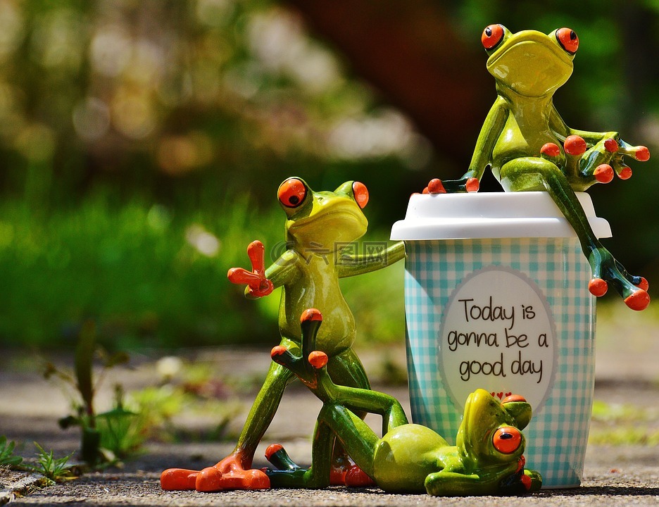 美丽的一天,喜悦,青蛙
