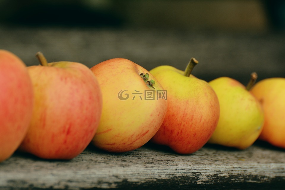 苹果,goldparmäne,水果