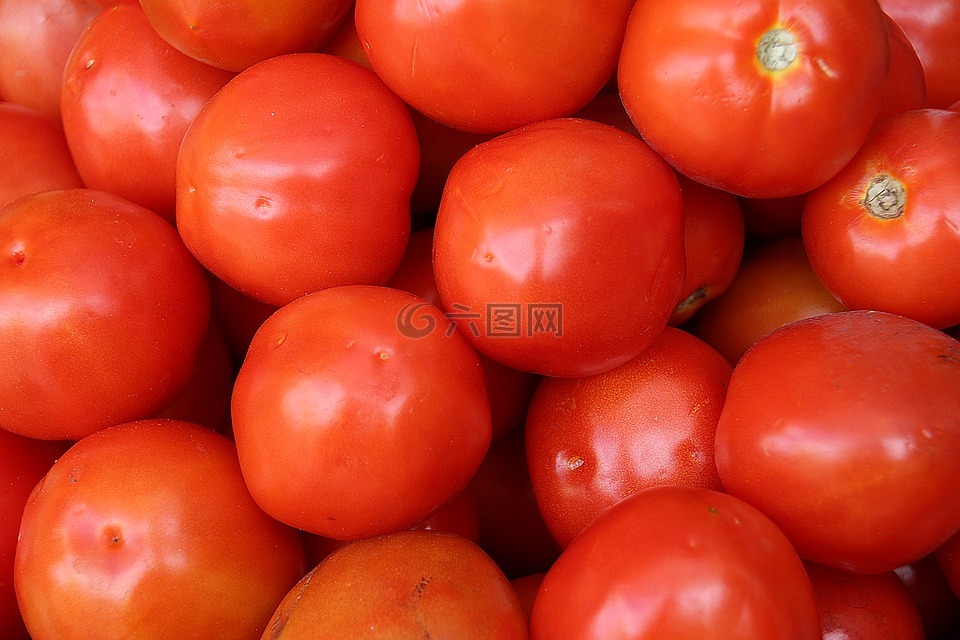 西红柿,蔬菜,青菜