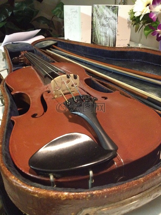 小提琴,小提琴案例,提琴