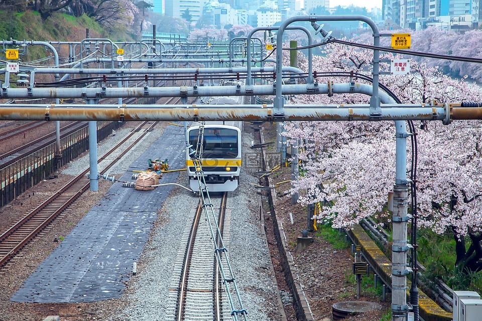 樱桃,日本,电动火车