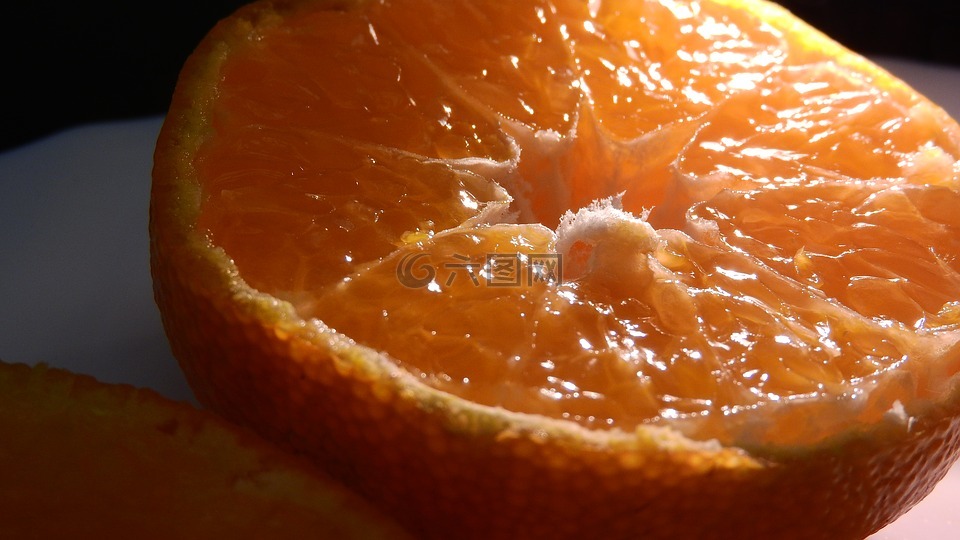 橙,切,水果