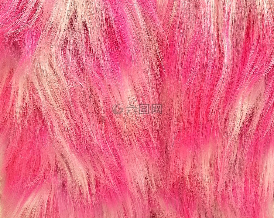 假发,粉红色假发,时尚