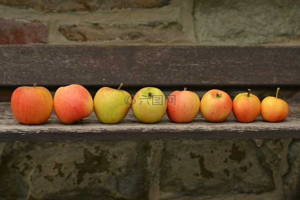 苹果,goldparmäne,水果