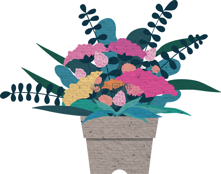 花插图 盆栽的植物 康乃馨高清图库素材免费下载 图片编号 六图网