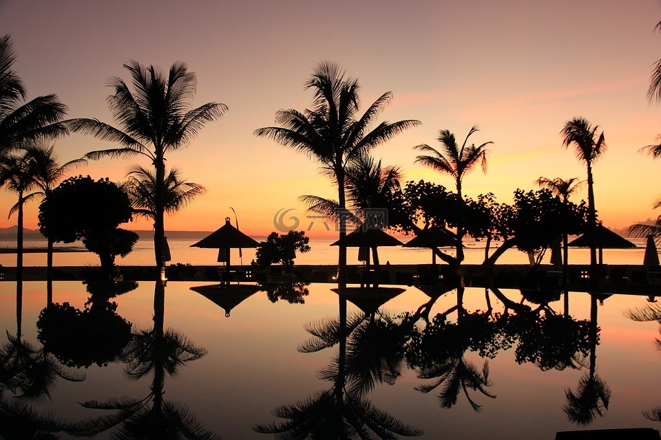 巴厘岛,棕榈树,日落
