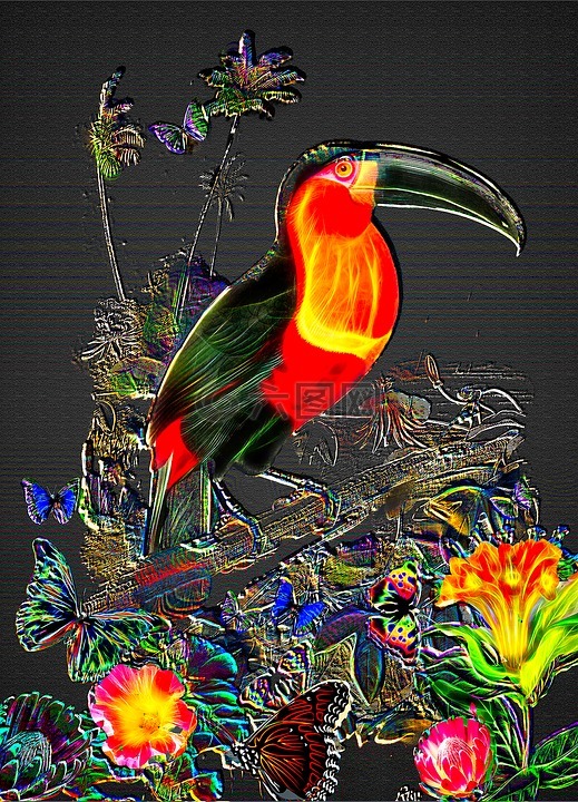 幻想的大嘴鸟,丛林背景,大嘴鸟技术壁