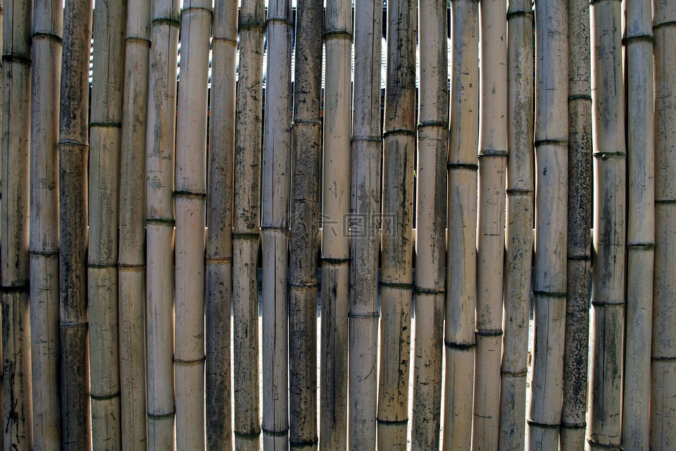 竹,围栏,墙