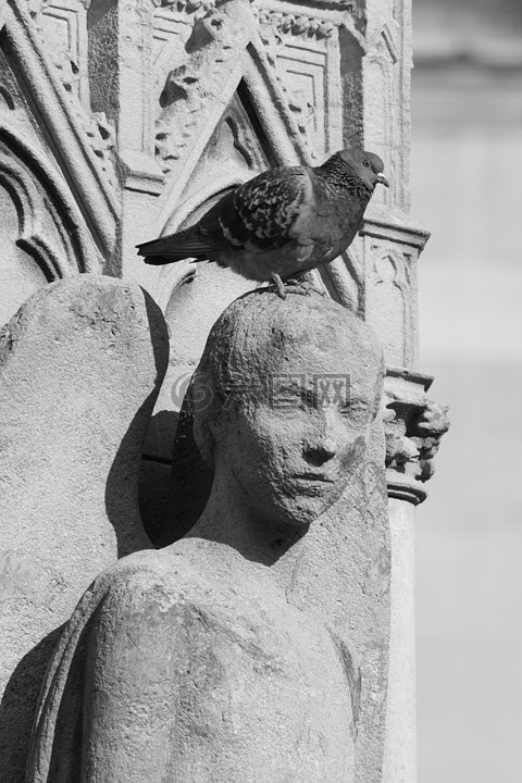雕塑,黑色和白色,鸽子