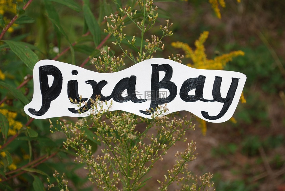 pixabay,字母,公司