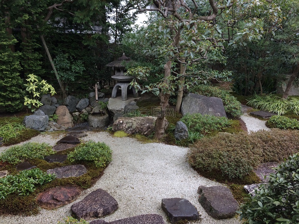 日本花园,花园,日本