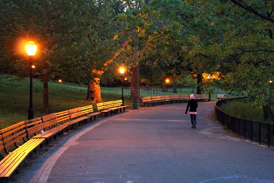公园,伍德山,夜