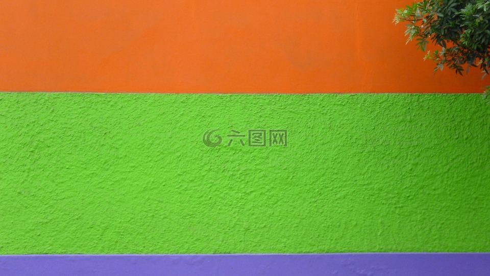 墙,颜色,绿色