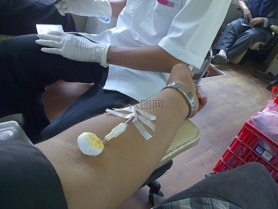 献血,捐助者,志愿者