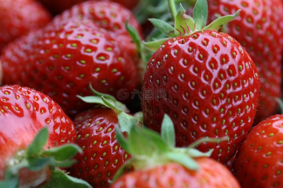 草莓,水果,吃