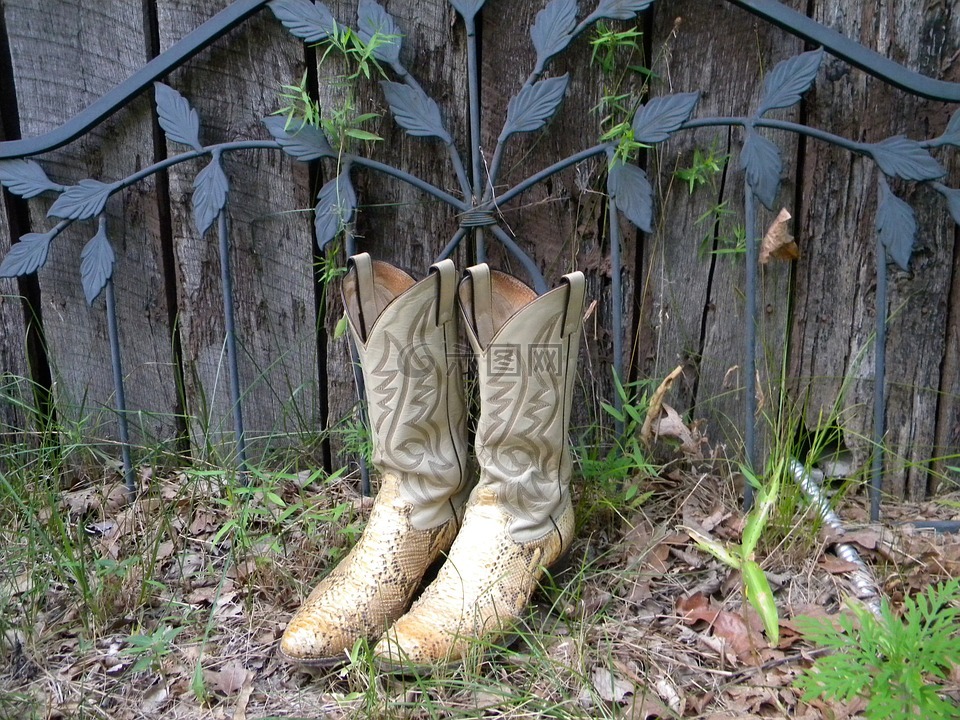 牛仔靴,靴子,花园