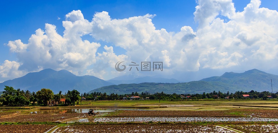 铜,水田,奠