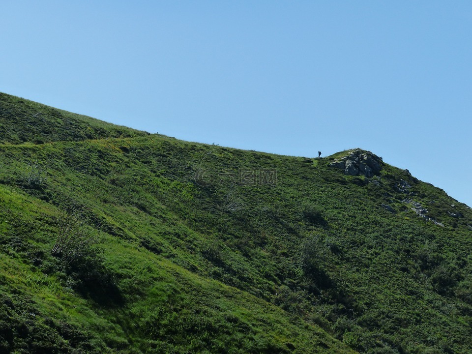 流浪者,背包客,一日游