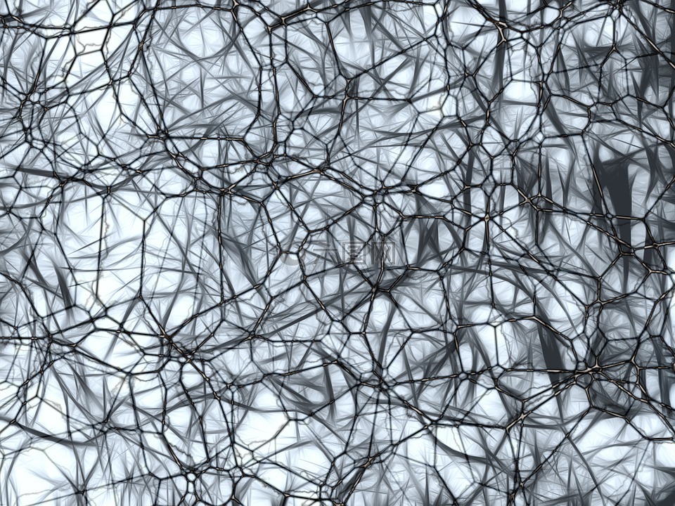 神经元,脑细胞,nachahmnung