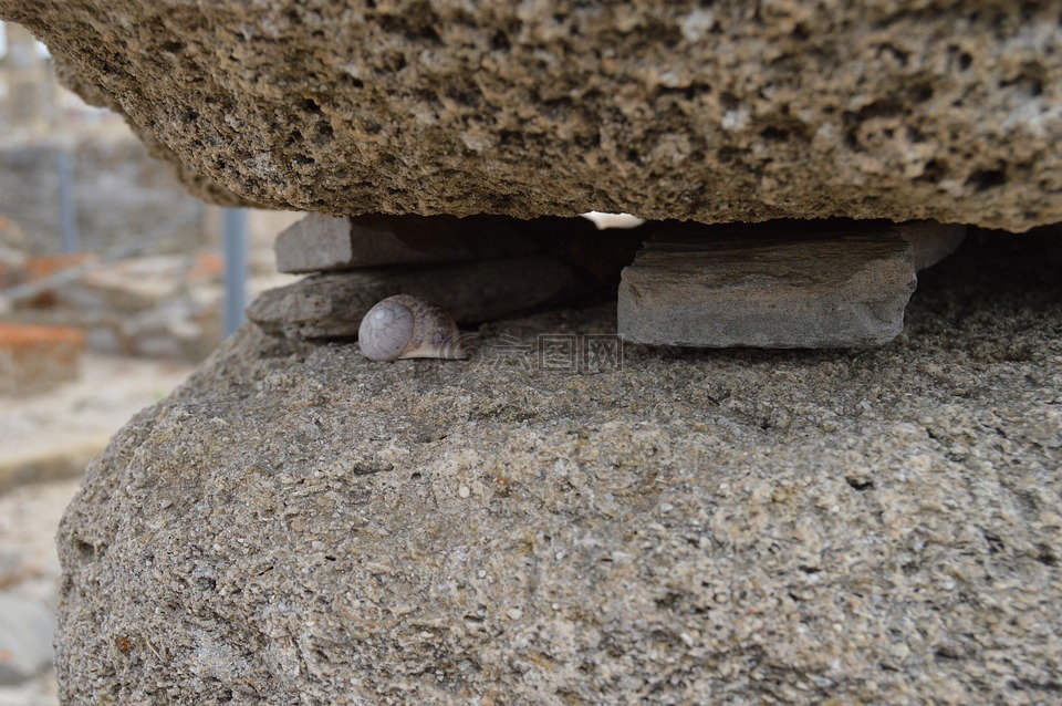 蜗牛,详细信息,石