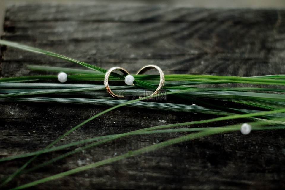结婚戒指,草,树