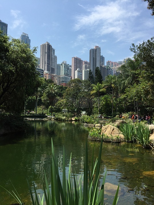 香港,公园,池