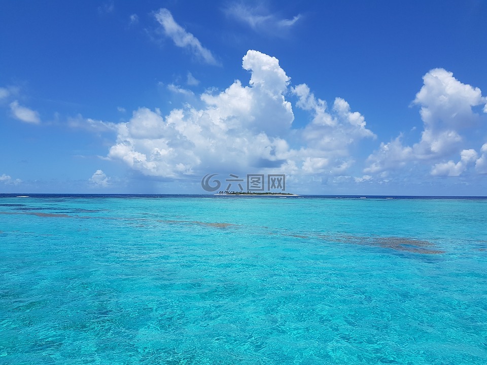 多巴哥珊瑚礁,格林纳丁斯,热带