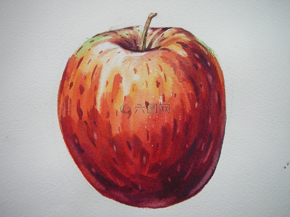 水果,苹果,绘画