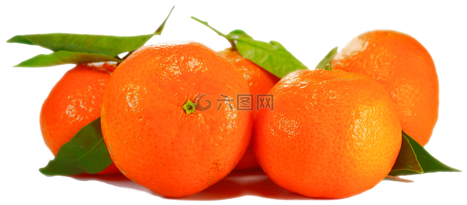 橙,孤立,水果