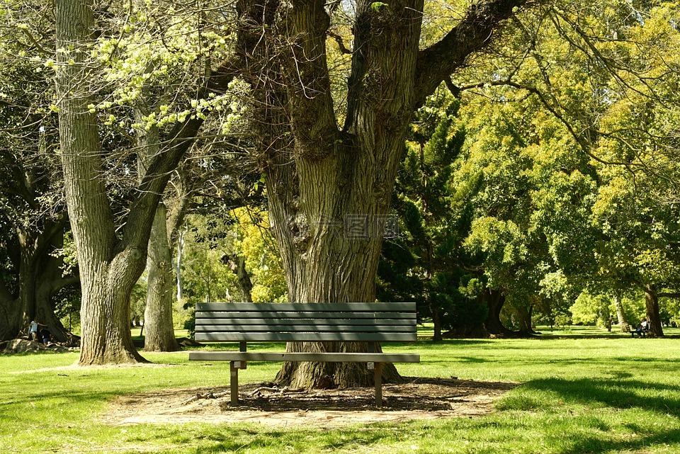 长凳,安宁,公园