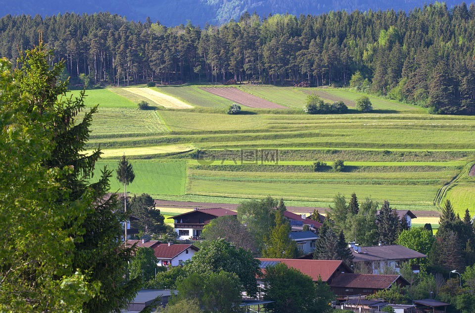 奥地利景观,培养,农业